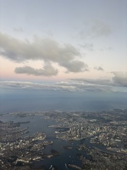 132D39D6-8044-4468-9714-878475AA33EF_1_105_c.jpeg 132D39D6-8044-4468-9714-878475AA33EF_1_105_c.jpeg