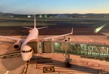 IMG_4913.jpeg IMG_4913.jpeg