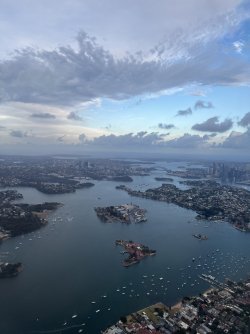 IMG_2998.jpeg IMG_2998.jpeg