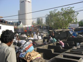 1767228663584.jpeg 1767228663584.jpeg