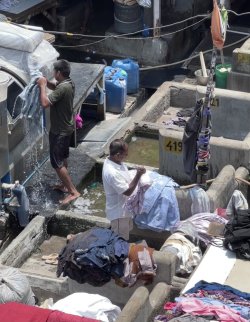 IMG_4356.jpeg IMG_4356.jpeg