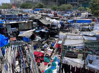 IMG_4355.jpeg IMG_4355.jpeg