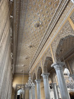 IMG_2456.jpeg IMG_2456.jpeg