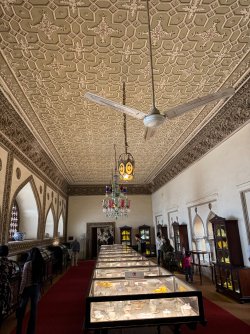 IMG_2463.jpeg IMG_2463.jpeg