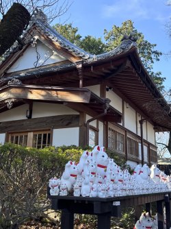 IMG_1685.jpeg IMG_1685.jpeg