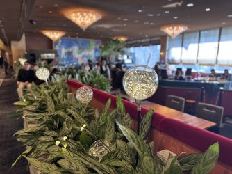 IMG_1689.jpeg IMG_1689.jpeg