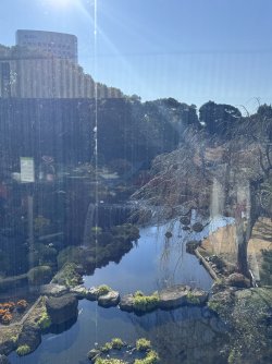 IMG_1692.jpeg IMG_1692.jpeg