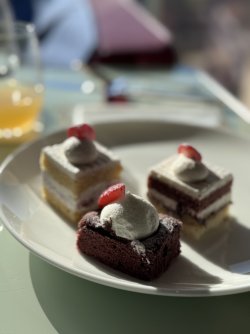 IMG_1694.jpeg IMG_1694.jpeg