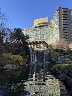 IMG_1705.jpeg IMG_1705.jpeg