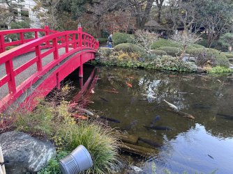 IMG_1700.jpeg IMG_1700.jpeg