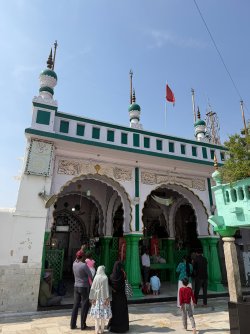 IMG_0614.jpeg IMG_0614.jpeg