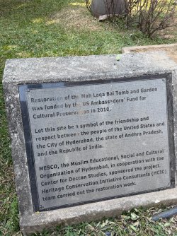 IMG_0591.jpeg IMG_0591.jpeg