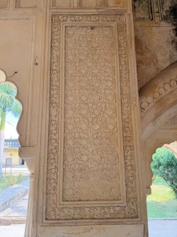 IMG_0596.jpeg IMG_0596.jpeg