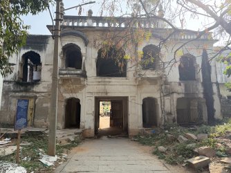 IMG_0725.jpeg IMG_0725.jpeg