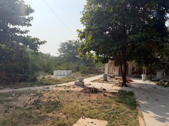 IMG_0727.jpeg IMG_0727.jpeg