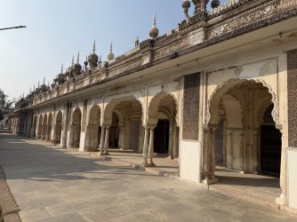 IMG_0732.jpeg IMG_0732.jpeg