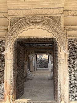 IMG_0734.jpeg IMG_0734.jpeg