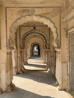 IMG_0736.jpeg IMG_0736.jpeg