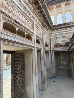 IMG_0737.jpeg IMG_0737.jpeg