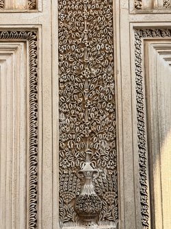 IMG_0744.jpeg IMG_0744.jpeg