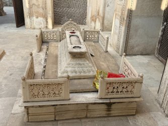 IMG_0745.jpeg IMG_0745.jpeg