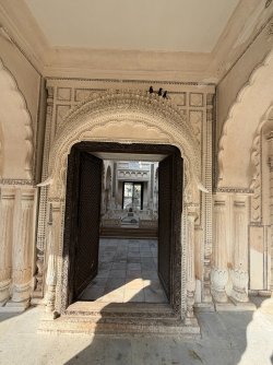 IMG_0749.jpeg IMG_0749.jpeg