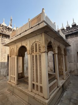 IMG_0750.jpeg IMG_0750.jpeg