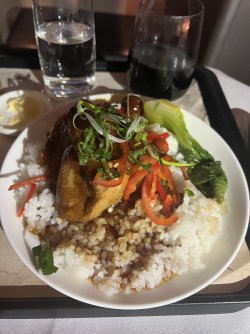 IMG_8168.jpeg IMG_8168.jpeg