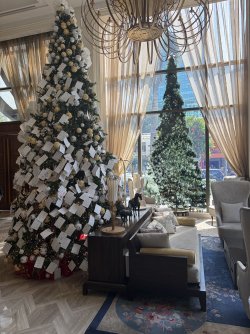 IMG_3729.jpeg IMG_3729.jpeg