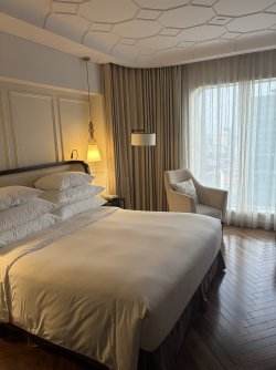 IMG_3751.jpeg IMG_3751.jpeg