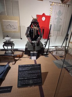 IMG_1774.jpeg IMG_1774.jpeg