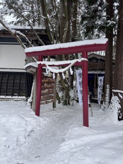 IMG_1795.jpeg IMG_1795.jpeg