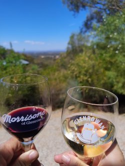 IMG_20260102_153215193_AE.jpg IMG_20260102_153215193_AE.jpg