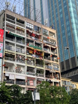 IMG_4709.jpeg IMG_4709.jpeg