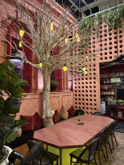 IMG_3800.jpeg IMG_3800.jpeg