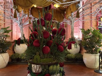 IMG_3799.jpeg IMG_3799.jpeg