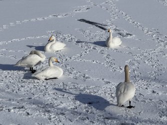 IMG_1820.jpeg IMG_1820.jpeg