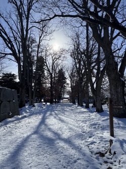 IMG_1843.jpeg IMG_1843.jpeg