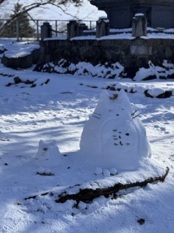 IMG_1844.jpeg IMG_1844.jpeg