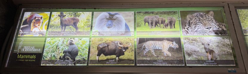 IMG_0963.JPG IMG_0963.JPG