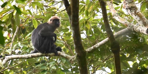 DSC_1334.JPG DSC_1334.JPG