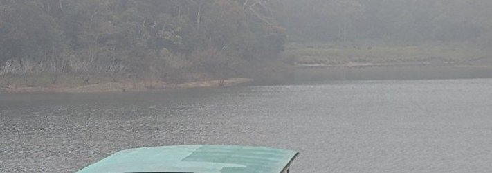 PXL_20260101_020506401 gaur.jpg