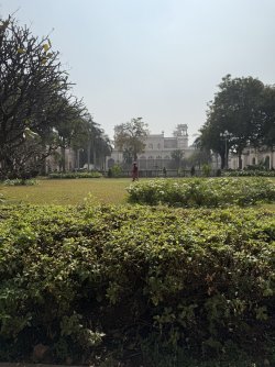 IMG_6433.jpeg IMG_6433.jpeg