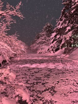 IMG_1890.jpeg IMG_1890.jpeg