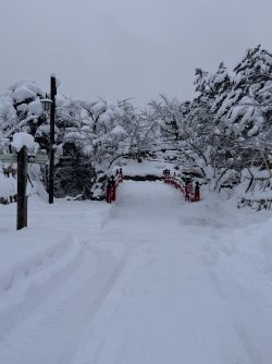 IMG_1927.jpeg IMG_1927.jpeg