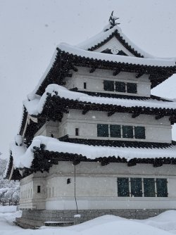 IMG_1930.jpeg IMG_1930.jpeg