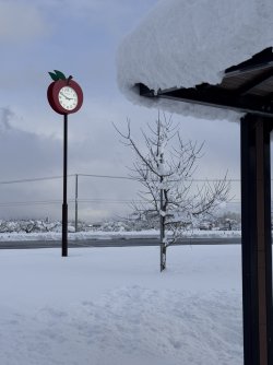 IMG_1956.jpeg IMG_1956.jpeg