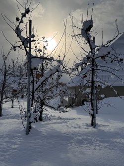 IMG_1955.jpeg IMG_1955.jpeg