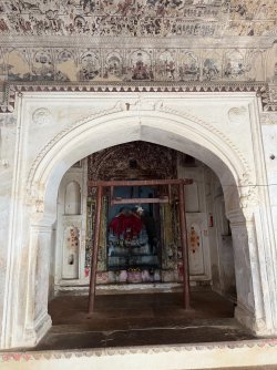 IMG_1060.jpeg IMG_1060.jpeg