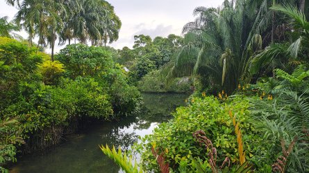 2025-12-26 07.37.54.jpg